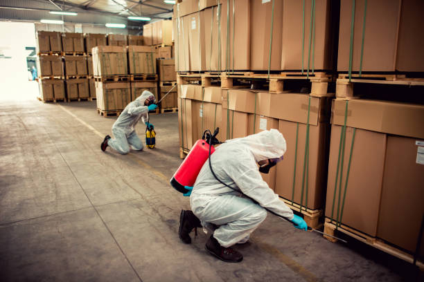Best Emergency Pest Control  in Estero, FL