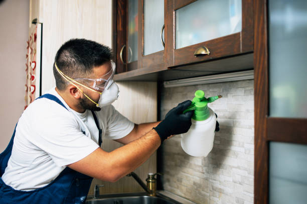 Pest Control for Restaurants in Estero, FL
