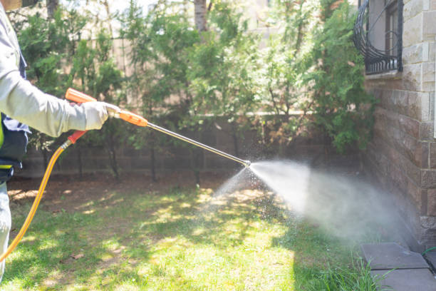 Best Best Pest Control Companies  in Estero, FL